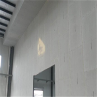 阳东宁波ALC板|EPS加气板隔墙与混凝土整浇联接的实验研讨